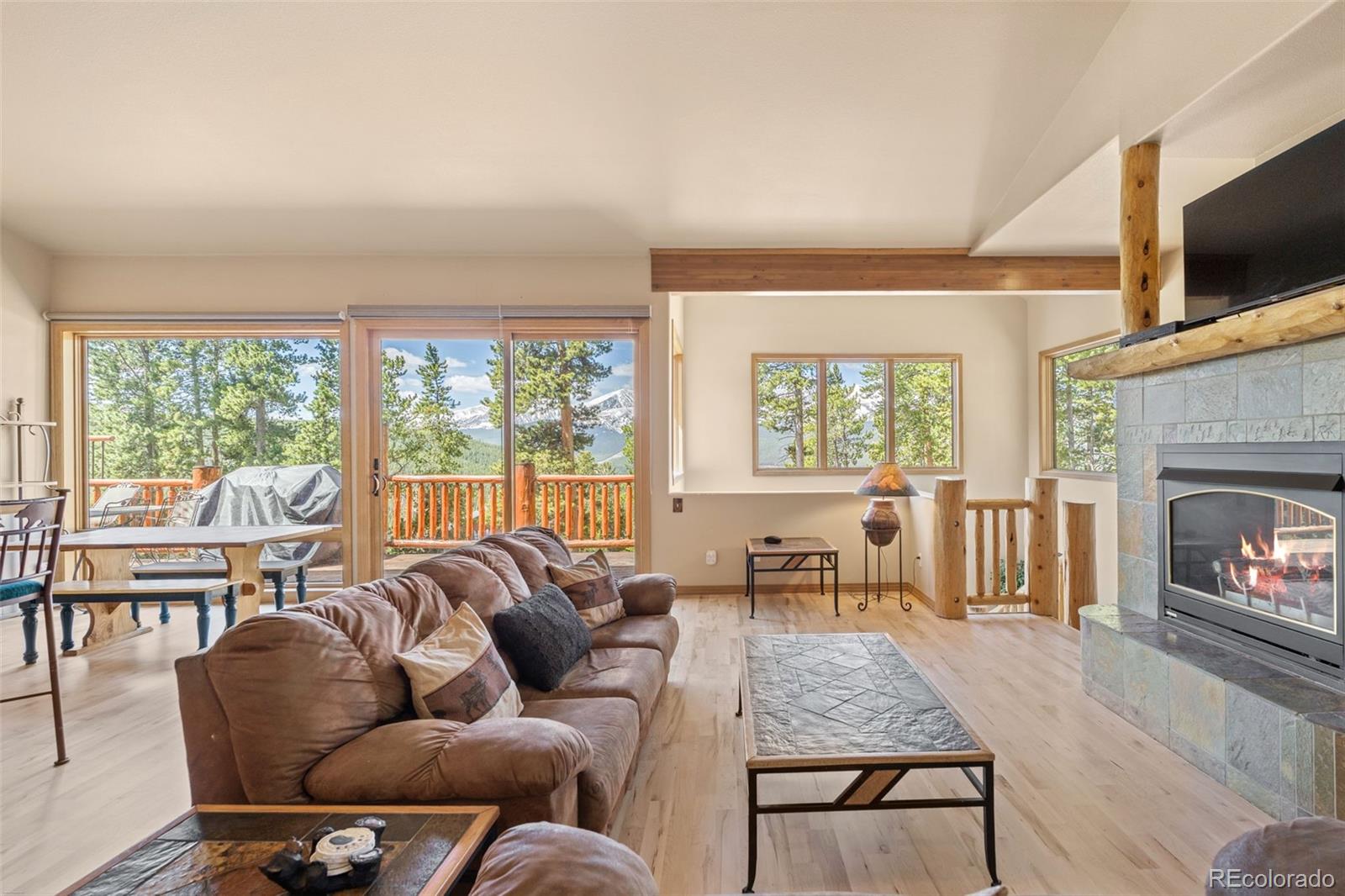 MLS Image #1 for 92  emmett lode road,breckenridge, Colorado