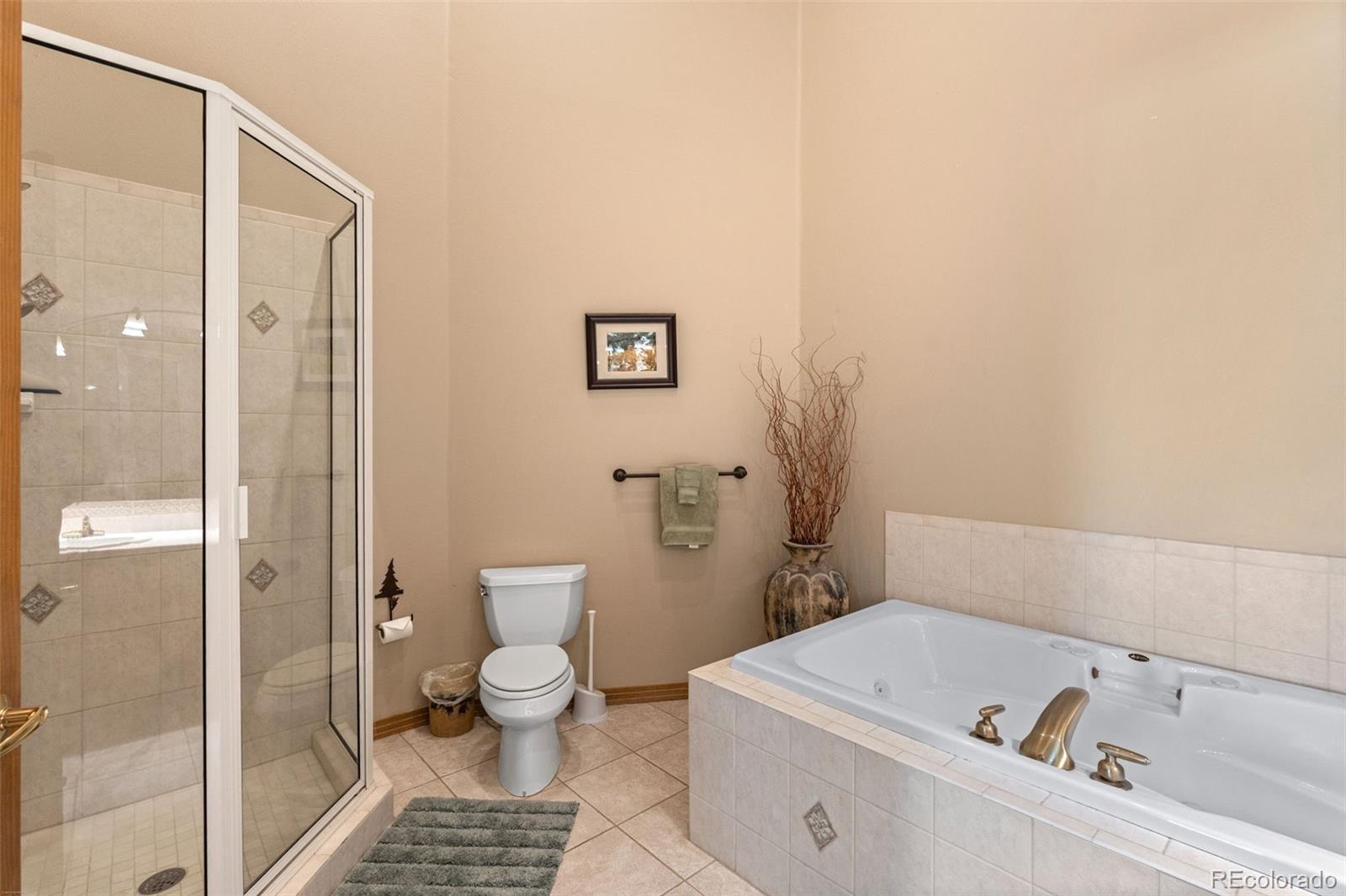 MLS Image #20 for 92  emmett lode road,breckenridge, Colorado