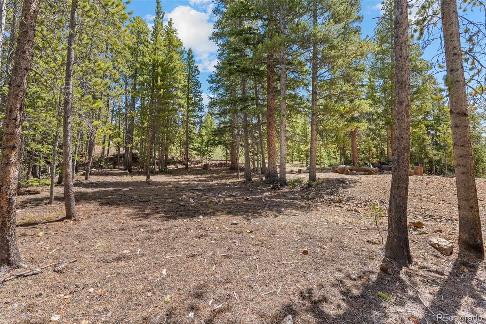 MLS Image #43 for 92  emmett lode road,breckenridge, Colorado