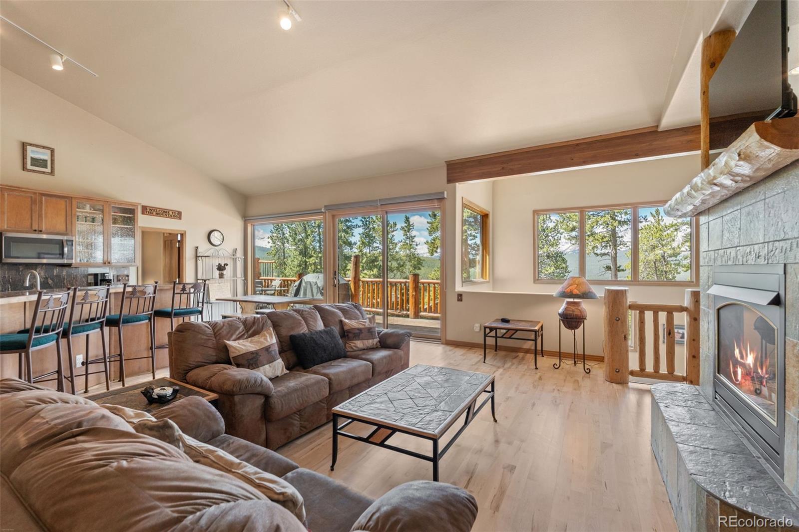 MLS Image #8 for 92  emmett lode road,breckenridge, Colorado