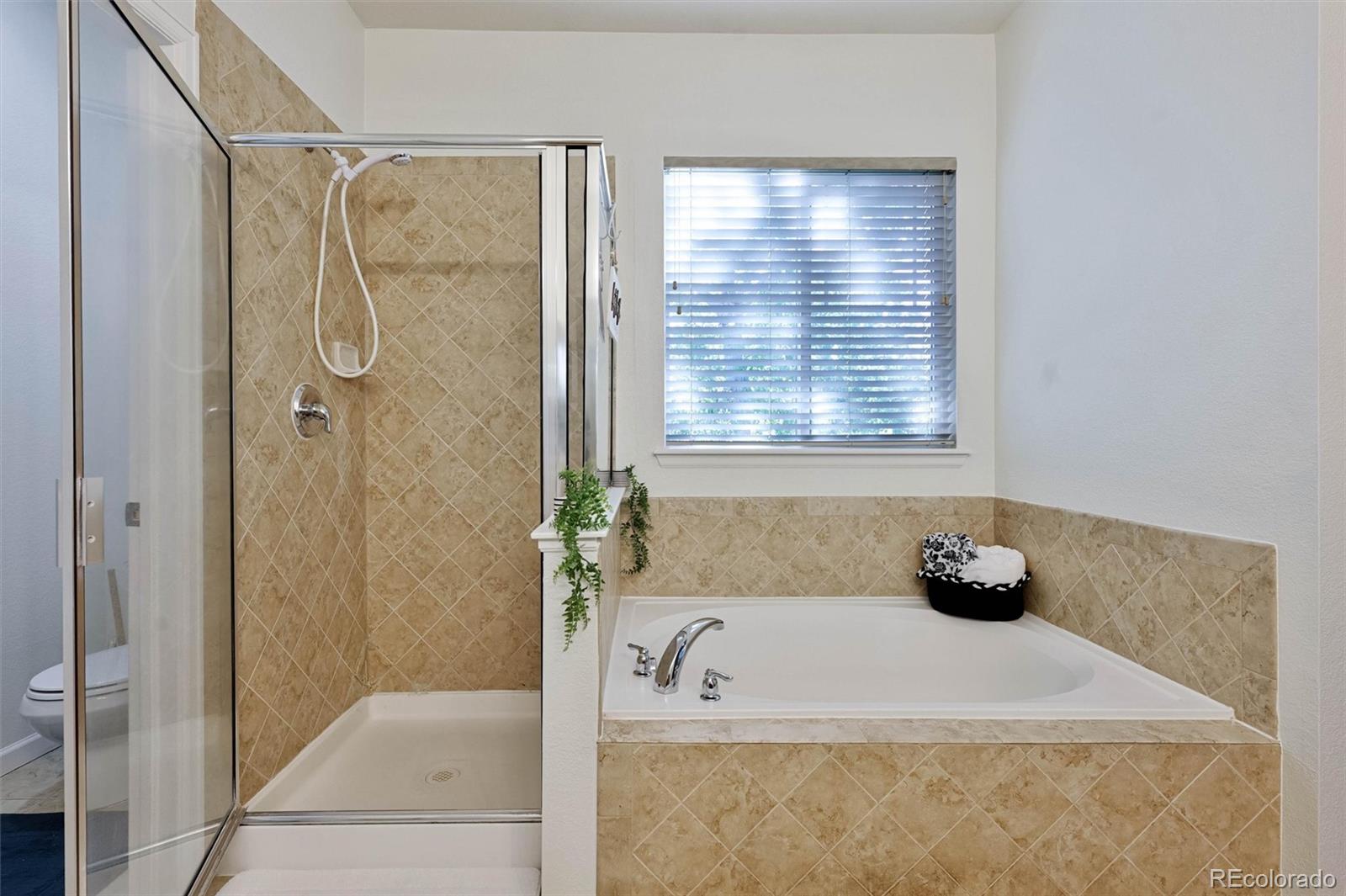 MLS Image #24 for 2311  canyonland way,castle rock, Colorado
