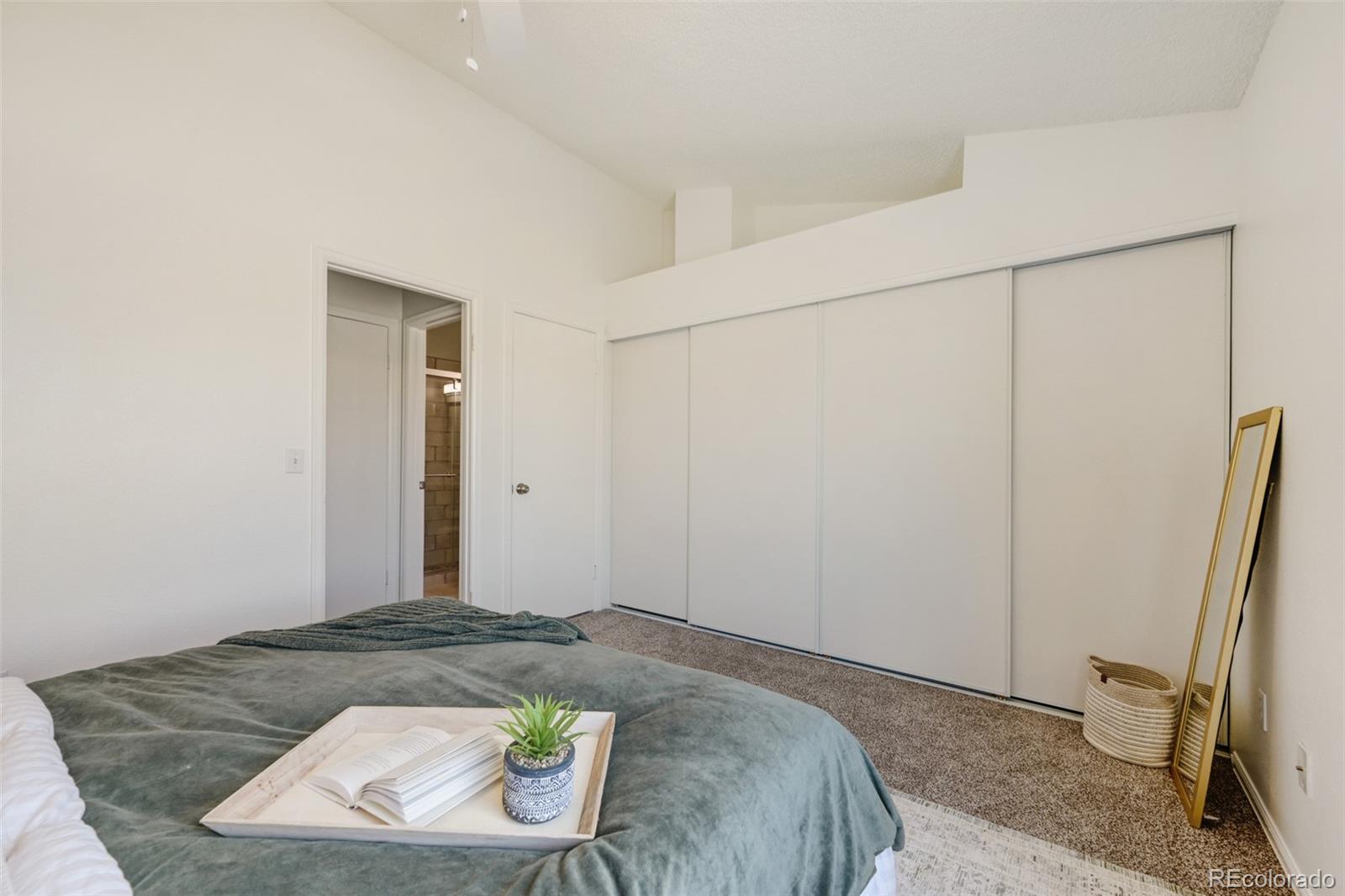 MLS Image #17 for 936  summer drive,highlands ranch, Colorado