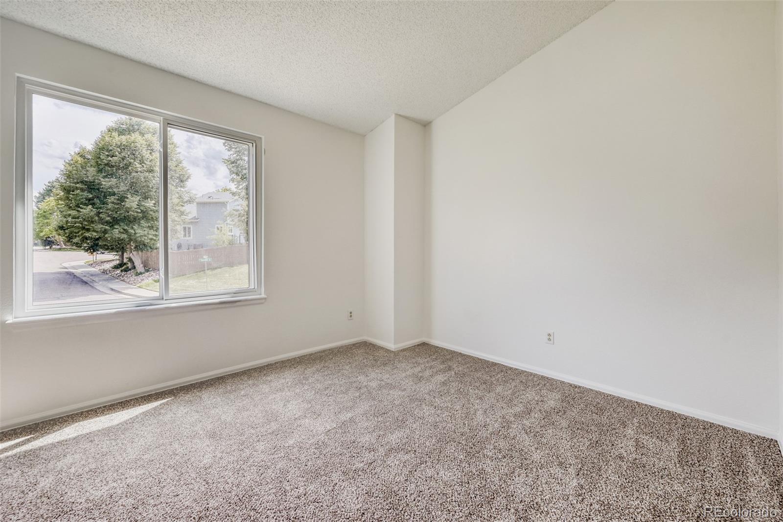 MLS Image #20 for 936  summer drive,highlands ranch, Colorado