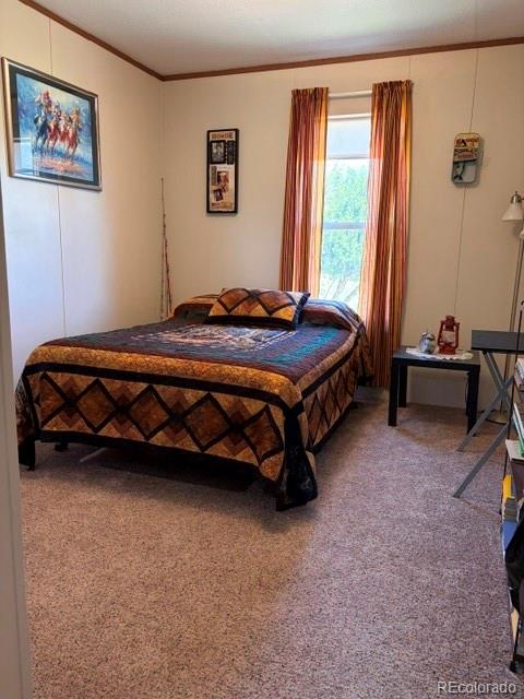 MLS Image #15 for 8084  oak drive,rye, Colorado
