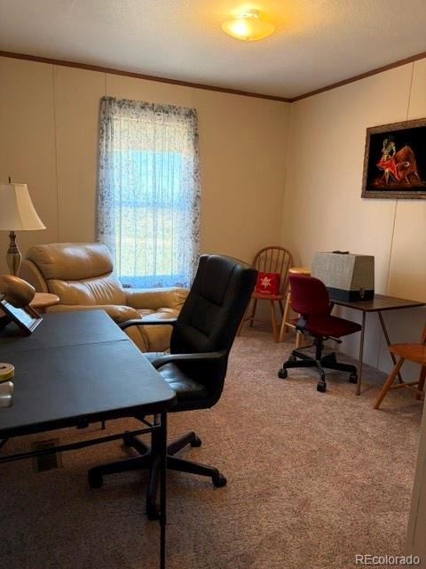 MLS Image #16 for 8084  oak drive,rye, Colorado