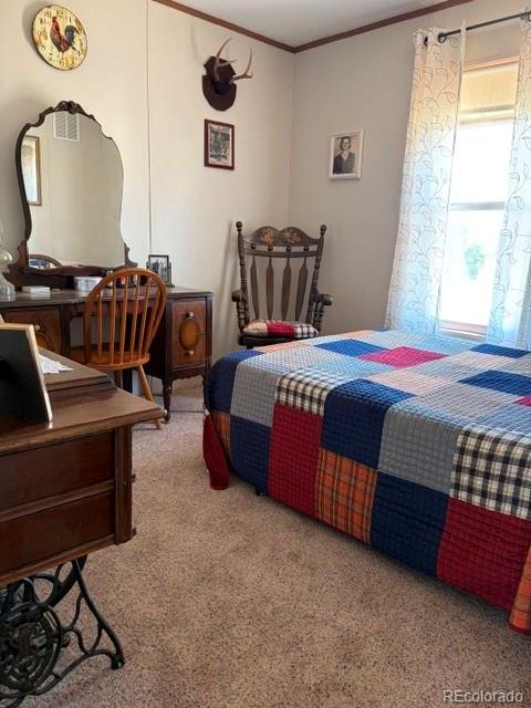 MLS Image #17 for 8084  oak drive,rye, Colorado