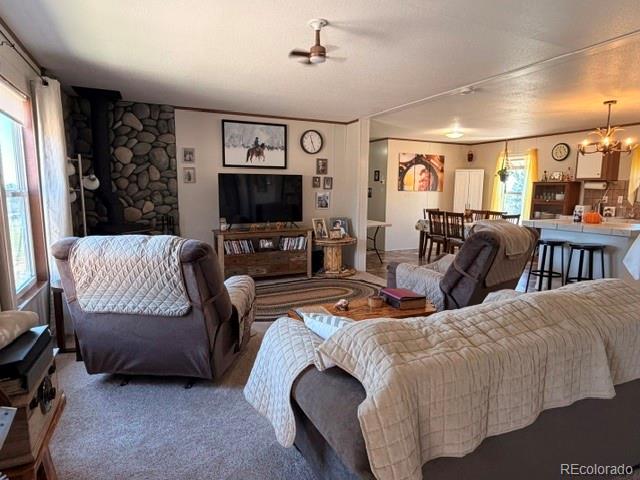 MLS Image #31 for 8084  oak drive,rye, Colorado