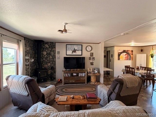 MLS Image #32 for 8084  oak drive,rye, Colorado