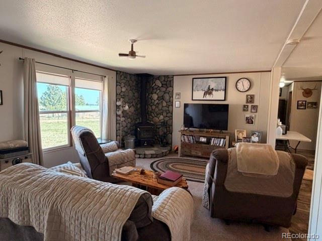 MLS Image #33 for 8084  oak drive,rye, Colorado
