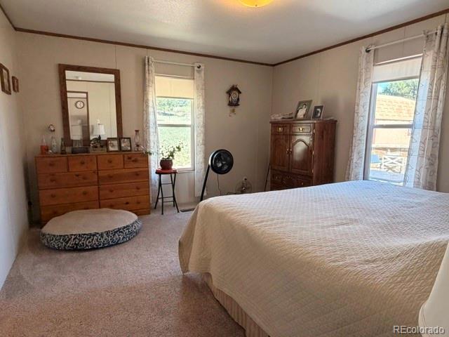 MLS Image #36 for 8084  oak drive,rye, Colorado