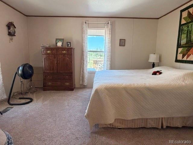 MLS Image #37 for 8084  oak drive,rye, Colorado
