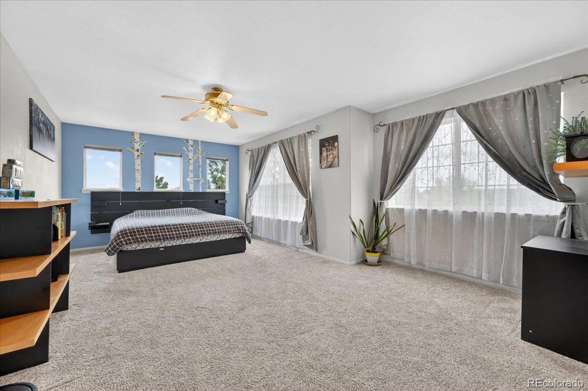 MLS Image #21 for 1550  canyon drive,castle rock, Colorado