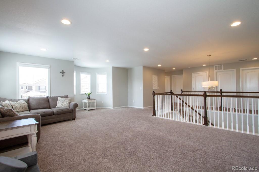 MLS Image #14 for 14317  double dutch loop,parker, Colorado