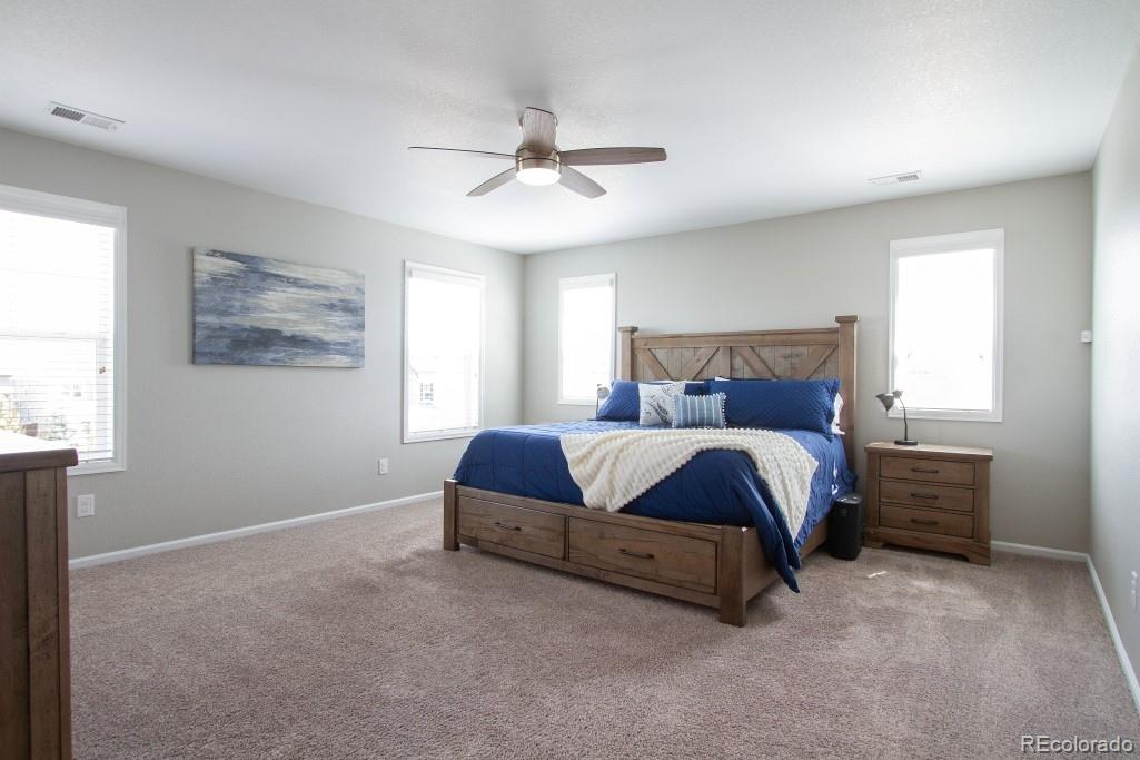 MLS Image #15 for 14317  double dutch loop,parker, Colorado