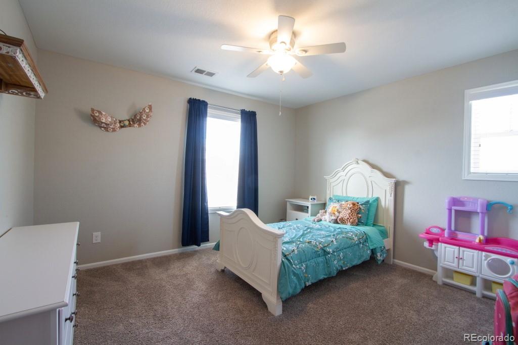 MLS Image #19 for 14317  double dutch loop,parker, Colorado