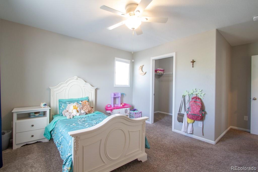 MLS Image #20 for 14317  double dutch loop,parker, Colorado