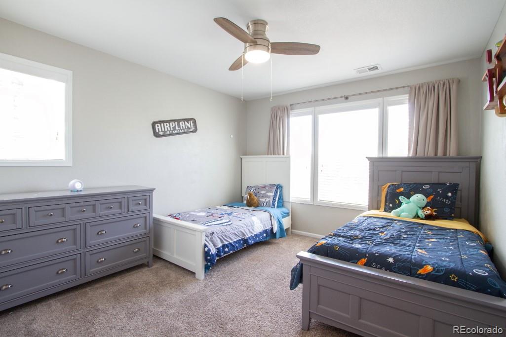 MLS Image #22 for 14317  double dutch loop,parker, Colorado