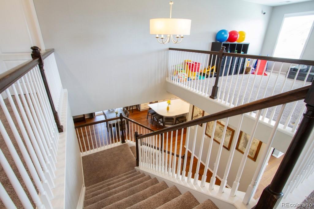 MLS Image #25 for 14317  double dutch loop,parker, Colorado