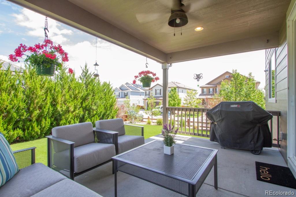 MLS Image #33 for 14317  double dutch loop,parker, Colorado