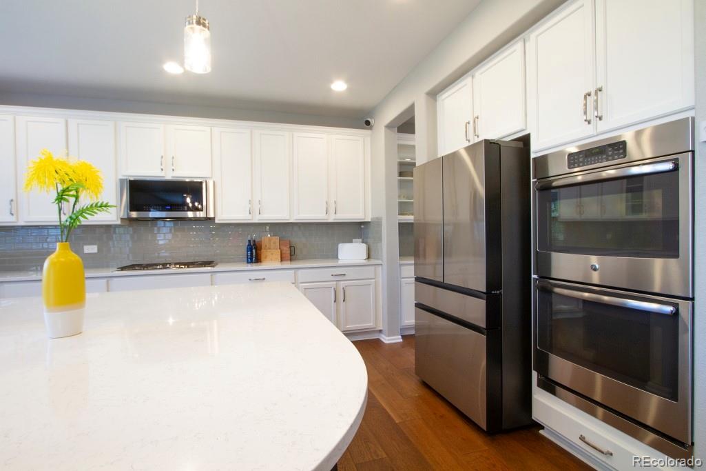 MLS Image #7 for 14317  double dutch loop,parker, Colorado