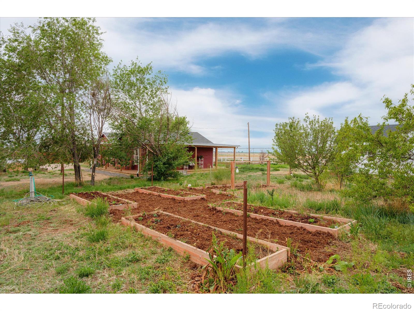 MLS Image #34 for 37648  county road 49 ,eaton, Colorado