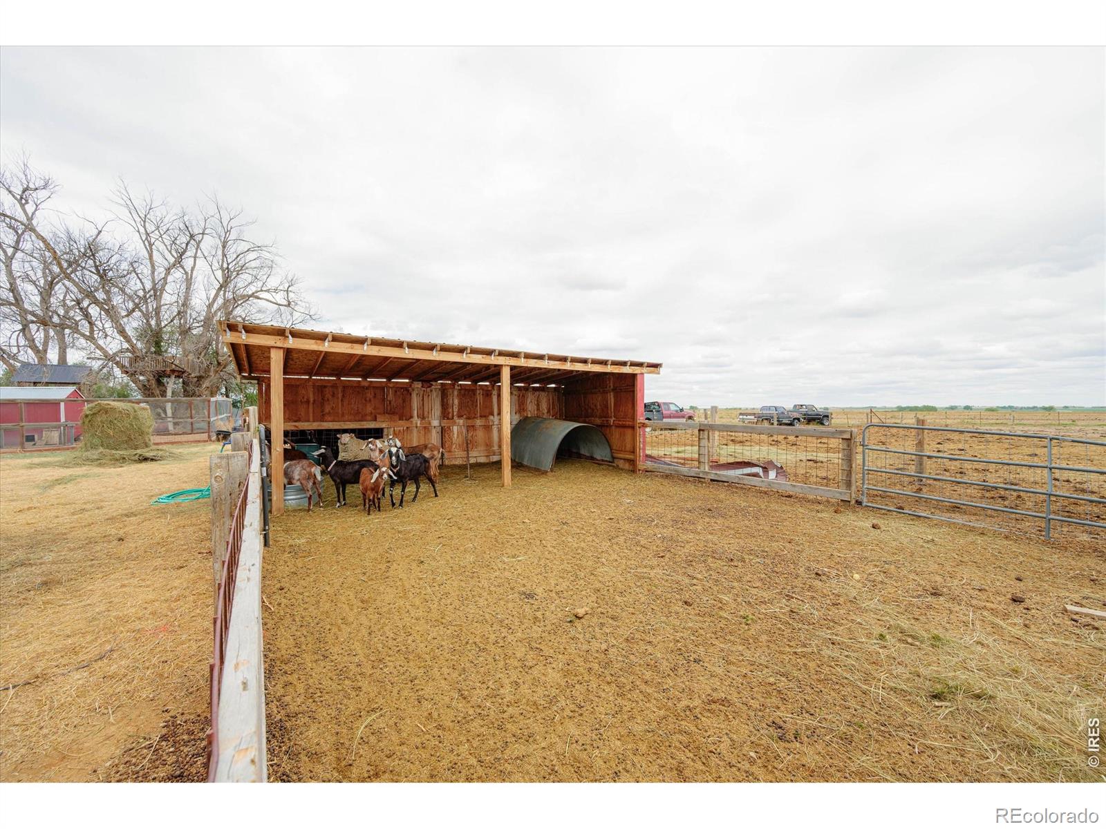 MLS Image #37 for 37648  county road 49 ,eaton, Colorado