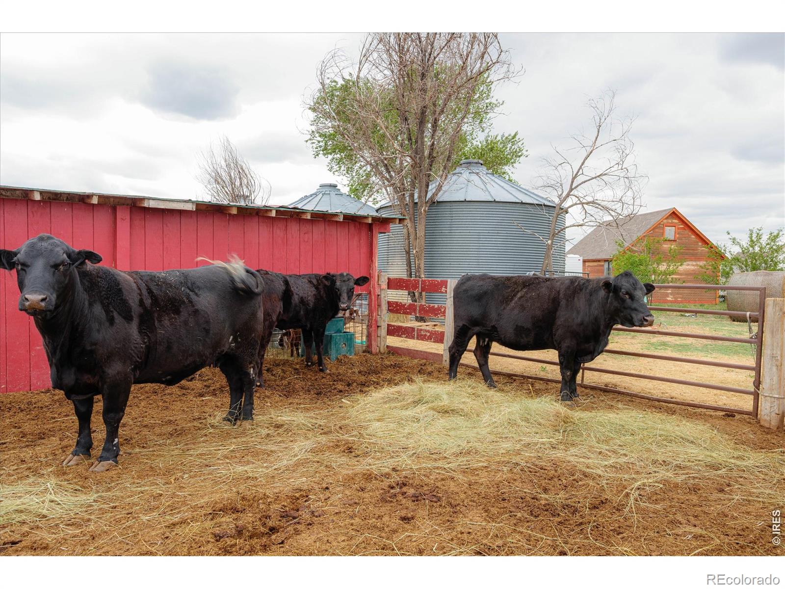 MLS Image #38 for 37648  county road 49 ,eaton, Colorado