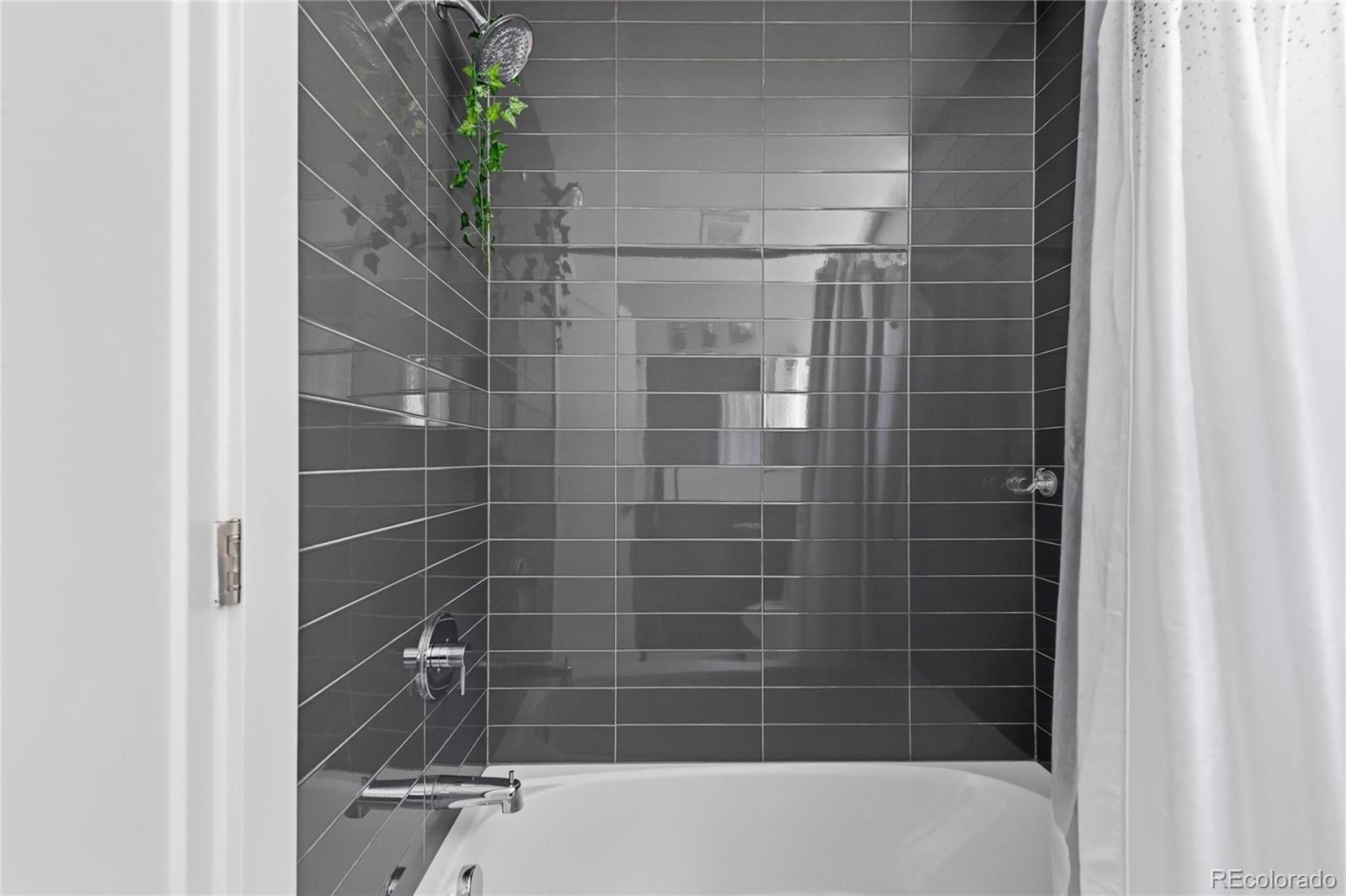 MLS Image #26 for 1648  lowell boulevard,denver, Colorado