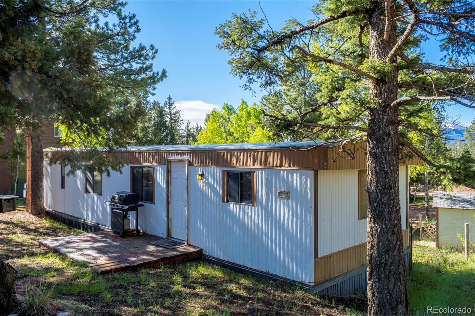 MLS Image #0 for 310  blossom road,woodland park, Colorado