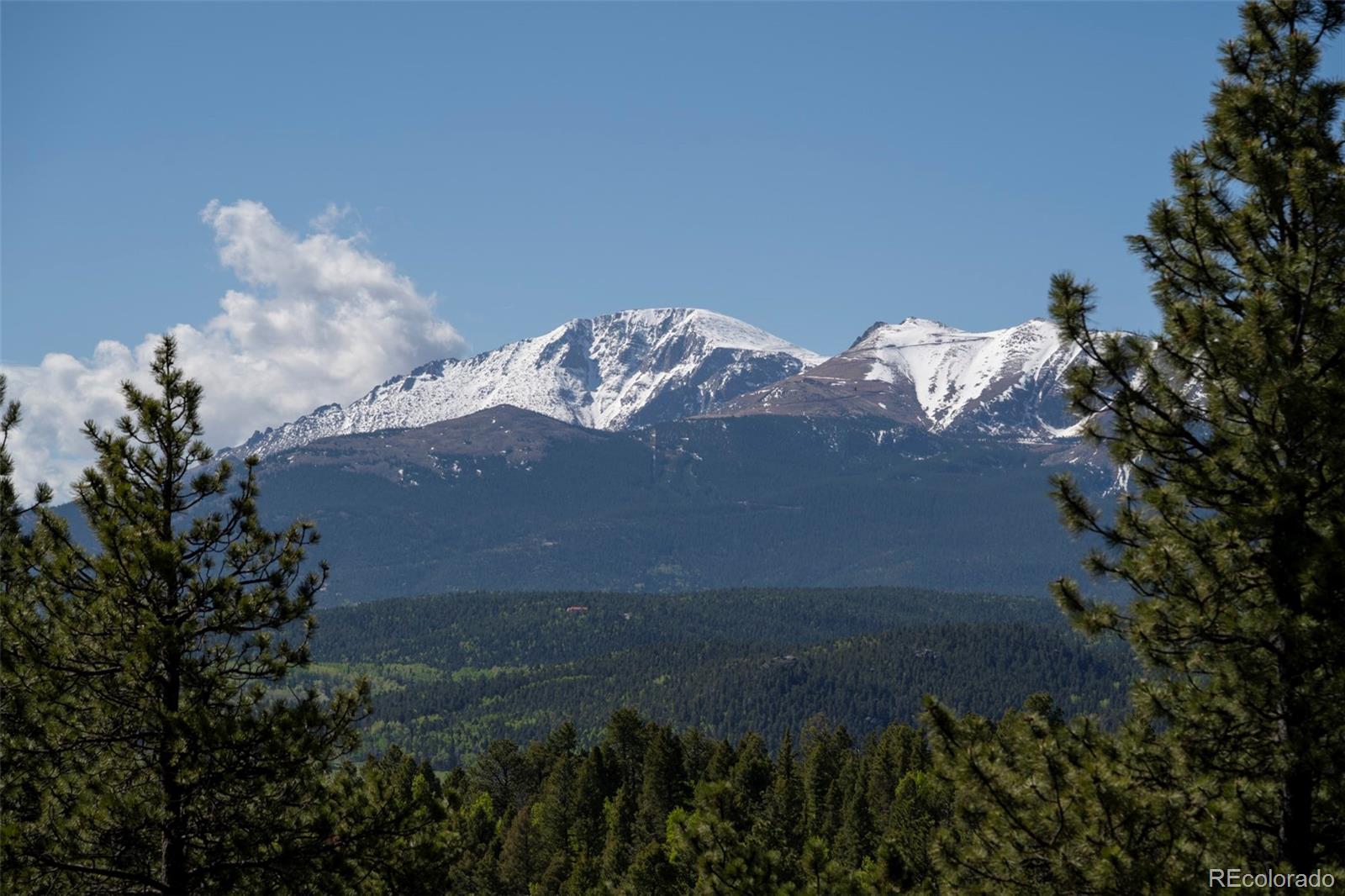 MLS Image #20 for 310  blossom road,woodland park, Colorado