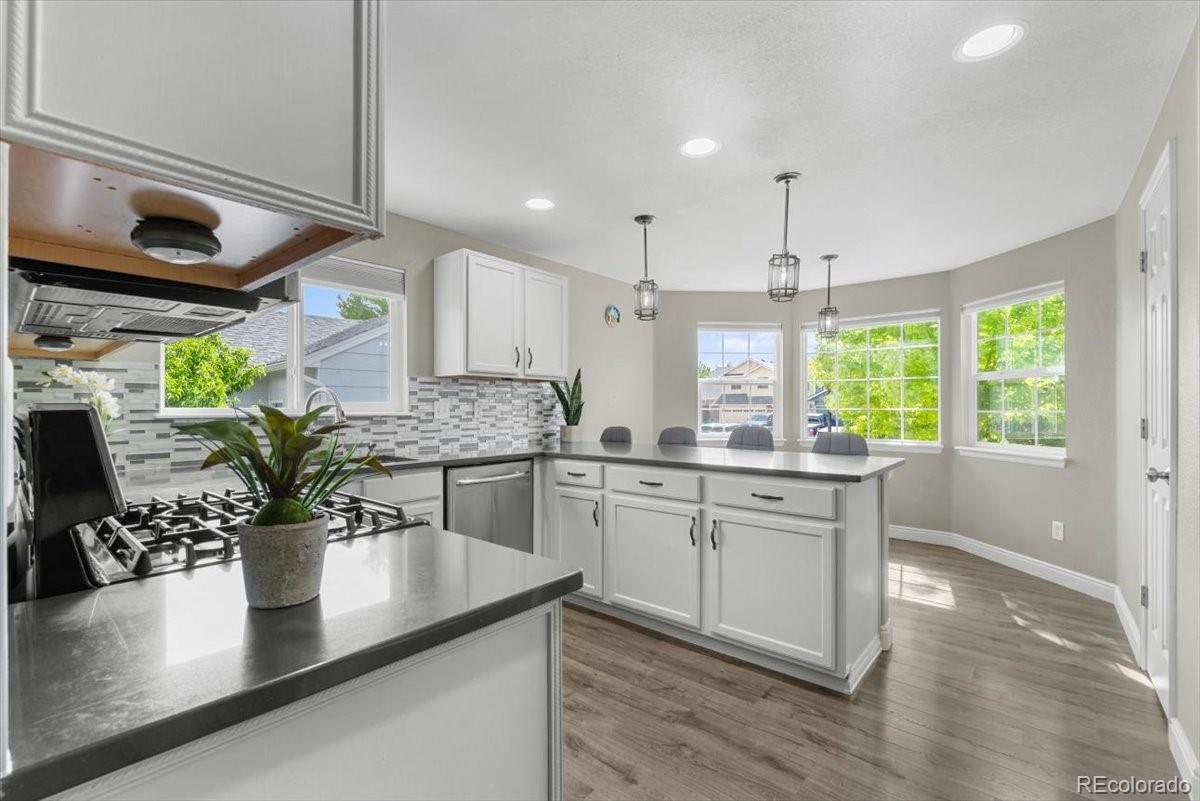 MLS Image #4 for 5438  fox run boulevard,frederick, Colorado