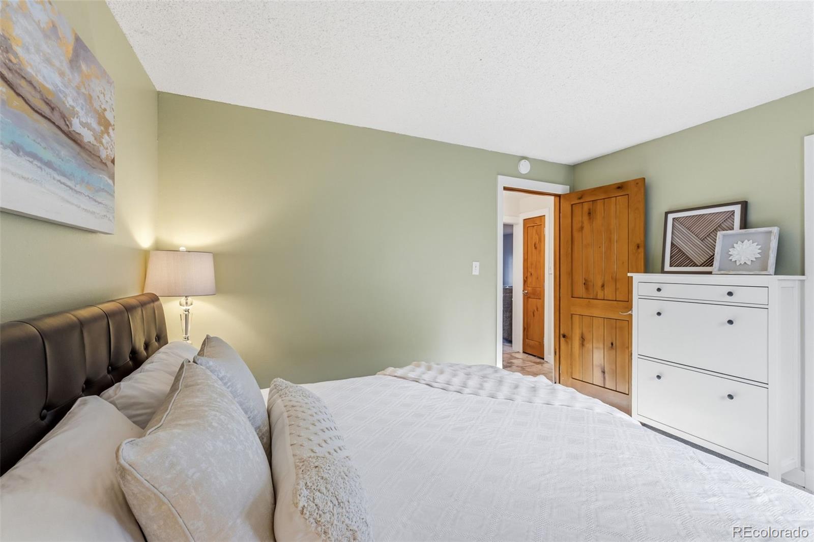 MLS Image #13 for 412 s main street,breckenridge, Colorado
