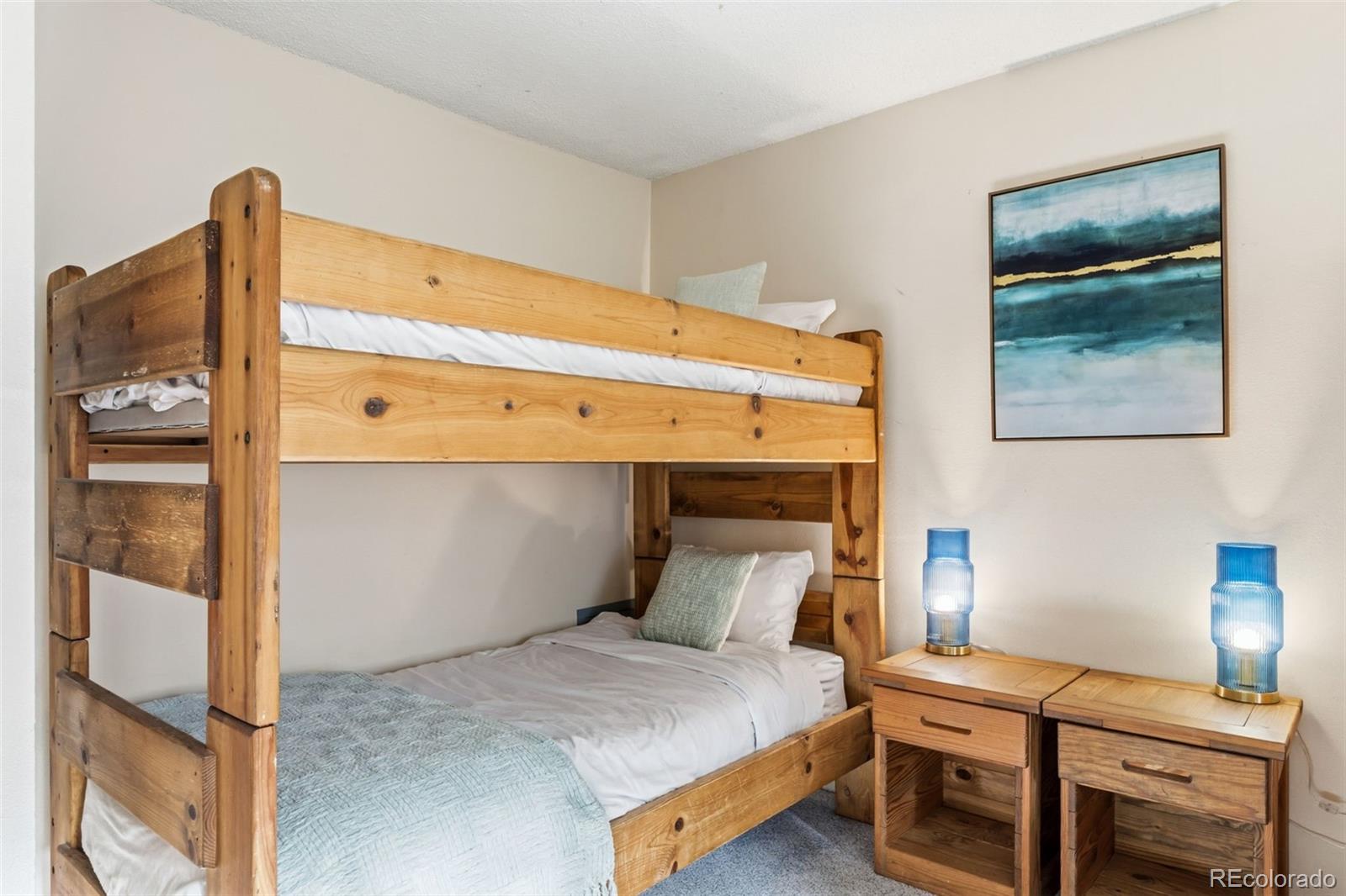 MLS Image #19 for 412 s main street,breckenridge, Colorado