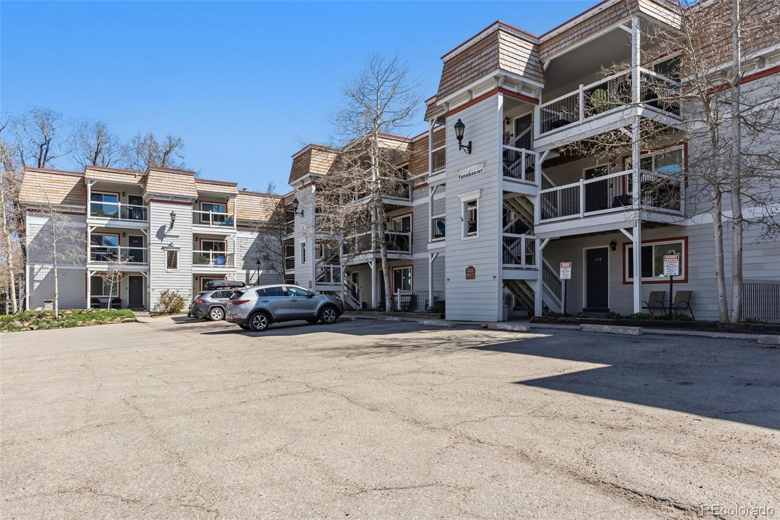 MLS Image #26 for 412 s main street,breckenridge, Colorado