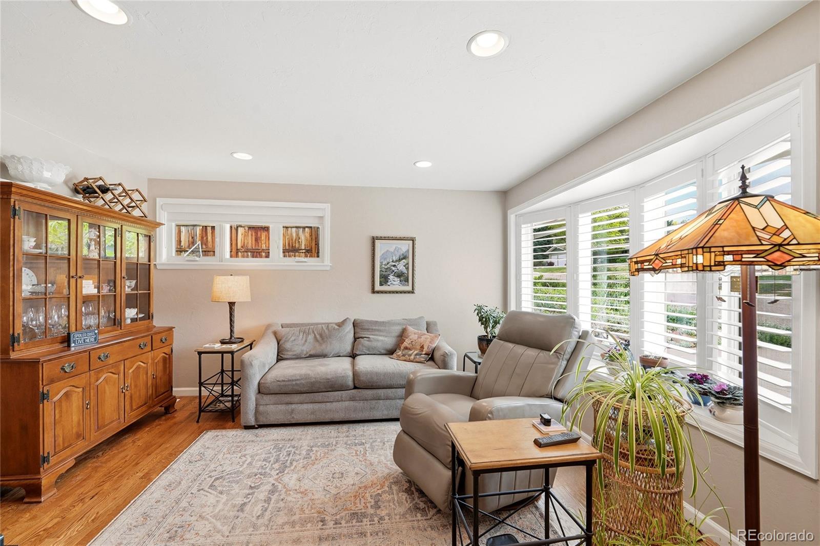 MLS Image #10 for 6573 s steele street,centennial, Colorado
