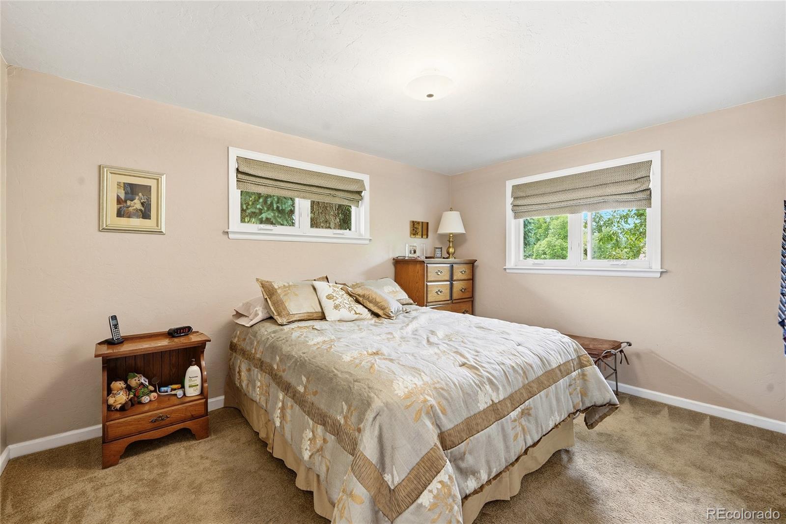 MLS Image #12 for 6573 s steele street,centennial, Colorado