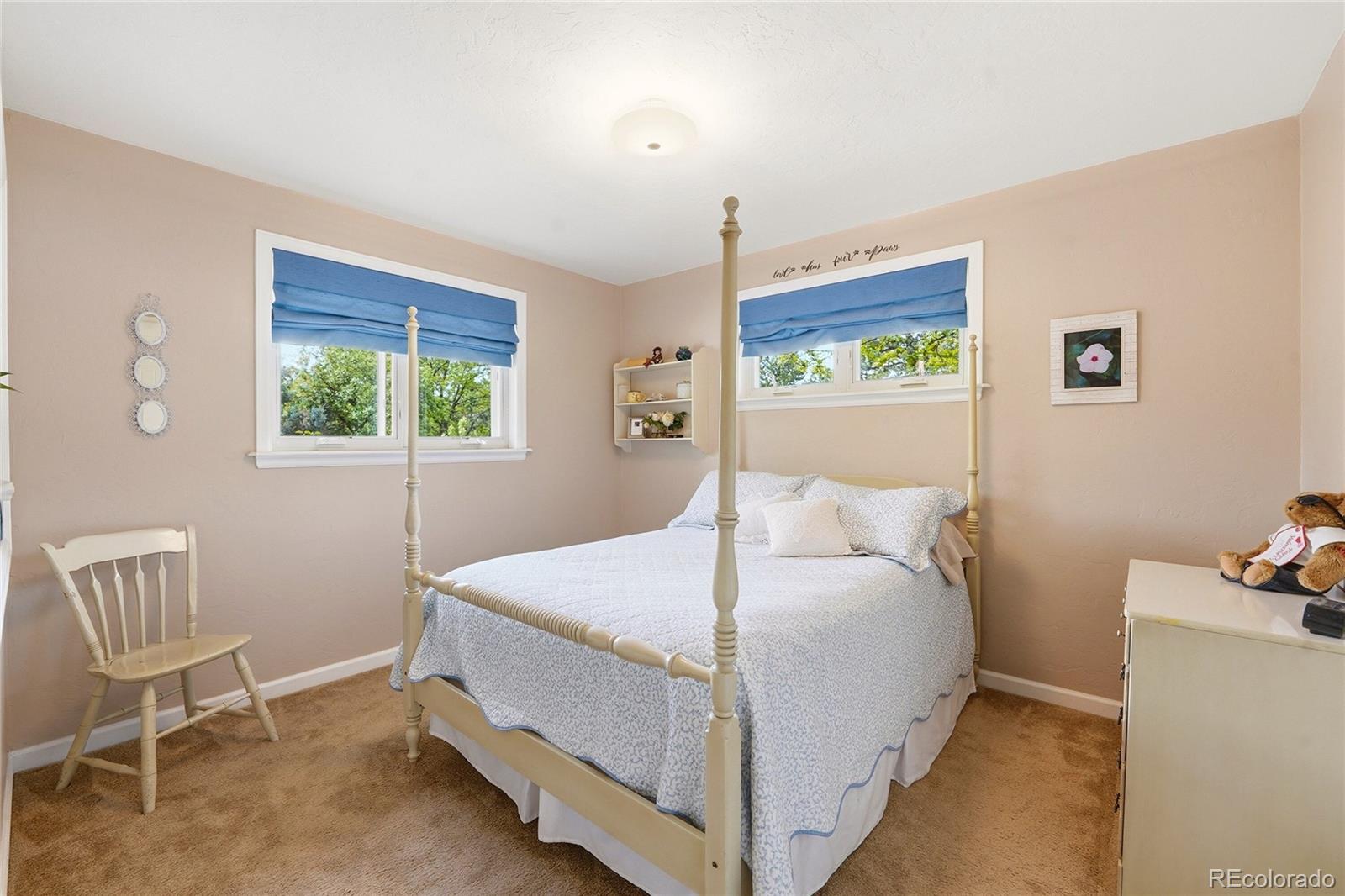 MLS Image #13 for 6573 s steele street,centennial, Colorado