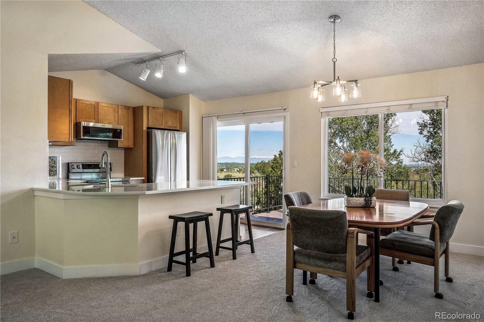 MLS Image #12 for 11621  laurel lane,parker, Colorado