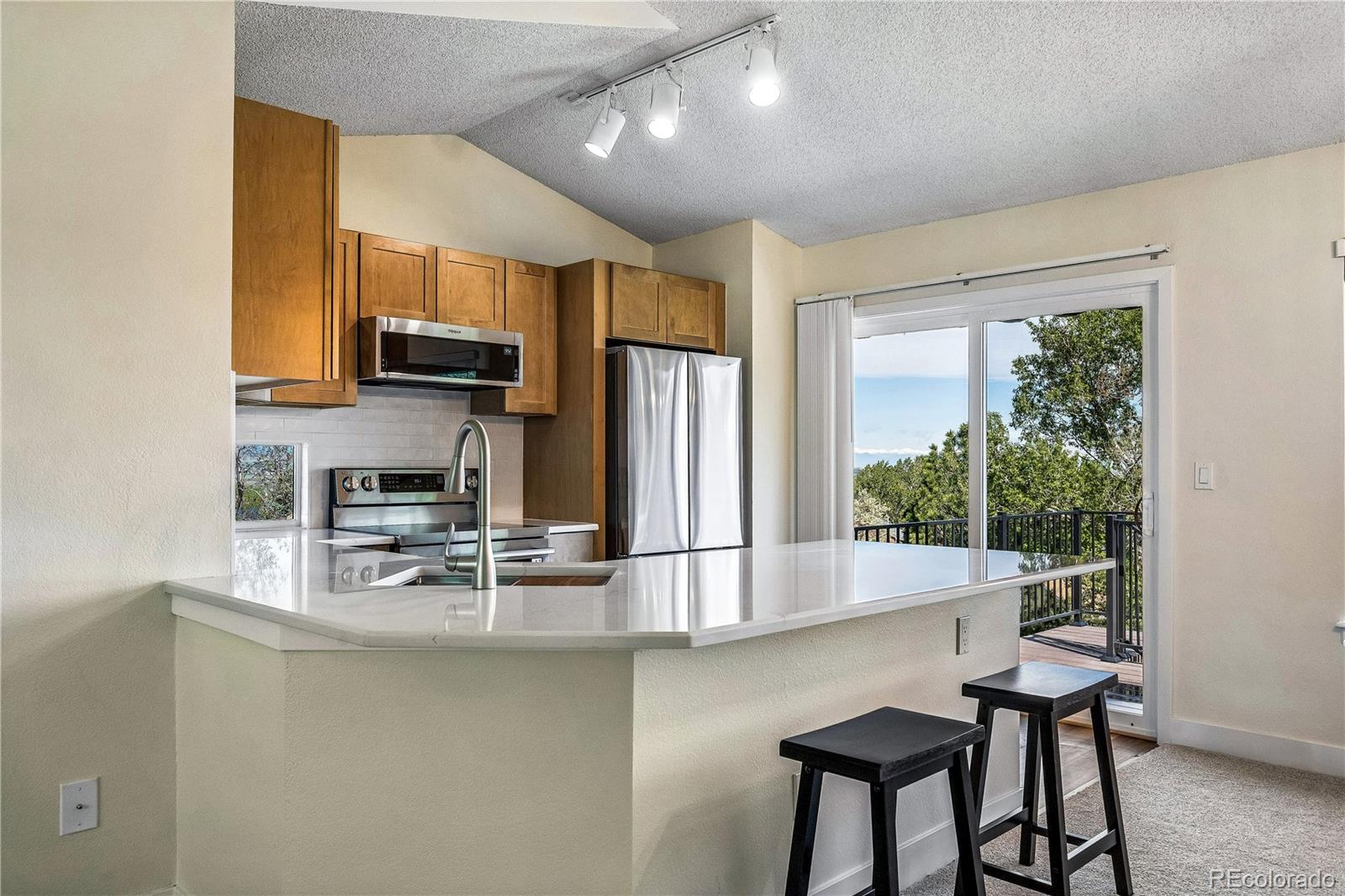 MLS Image #13 for 11621  laurel lane,parker, Colorado