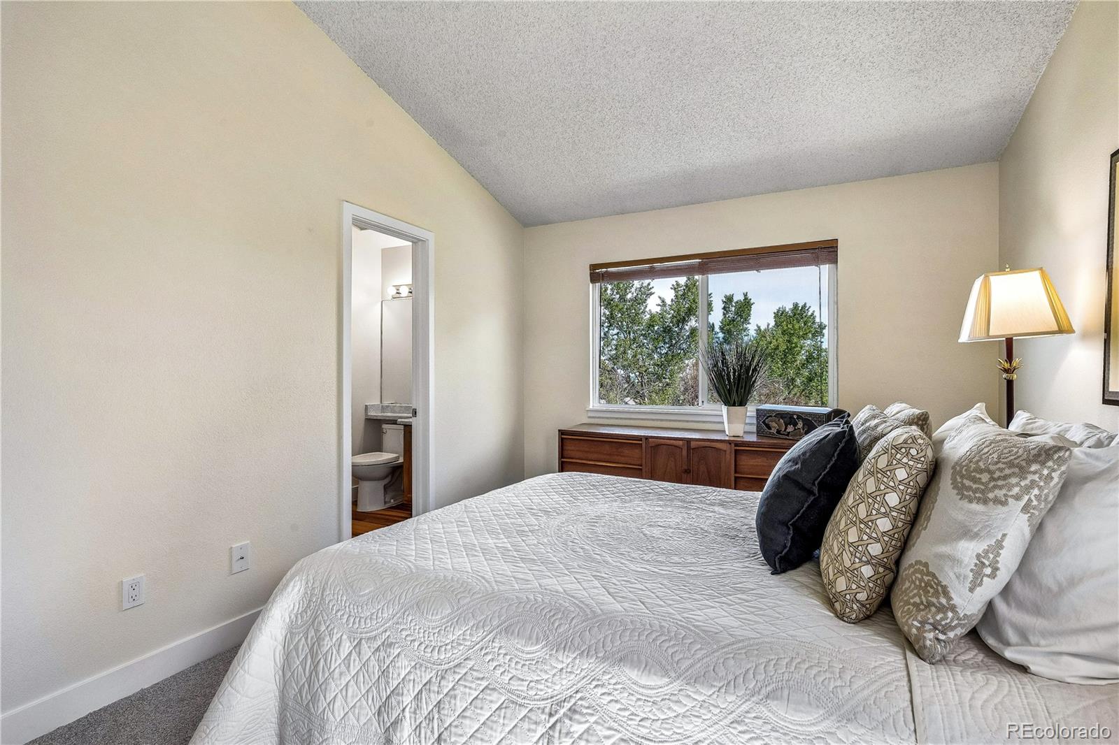 MLS Image #24 for 11621  laurel lane,parker, Colorado