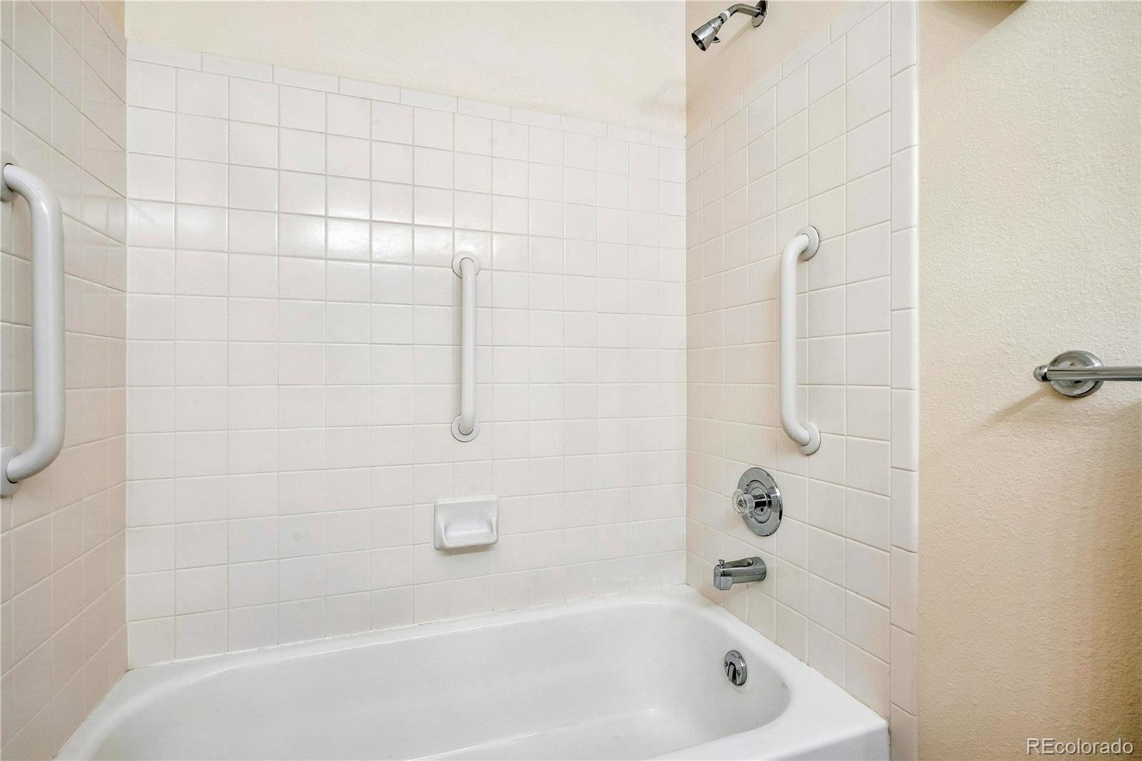 MLS Image #28 for 11621  laurel lane,parker, Colorado