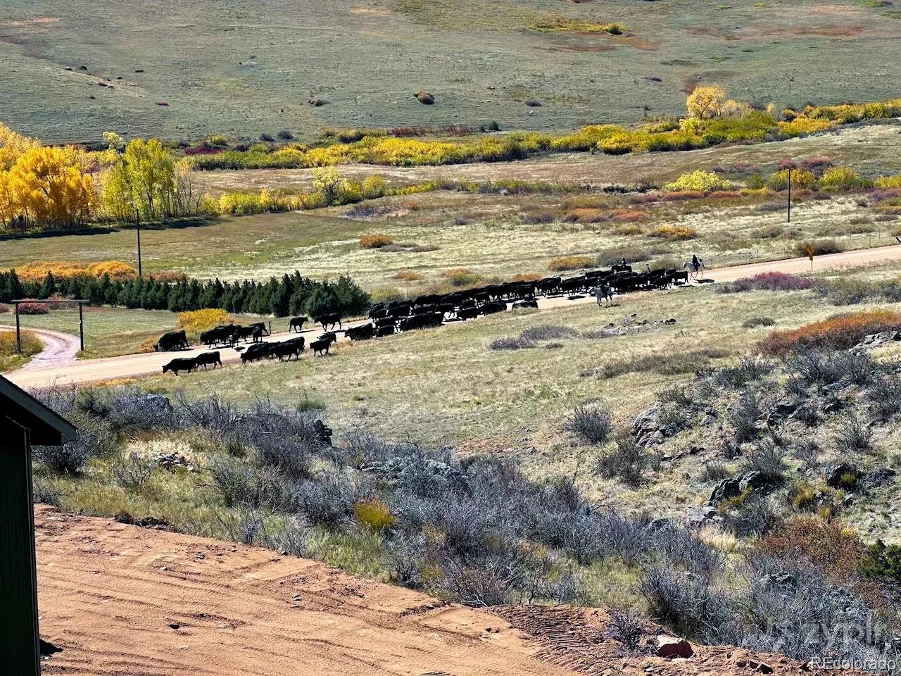 MLS Image #35 for 3050 w county road 82e ,livermore, Colorado