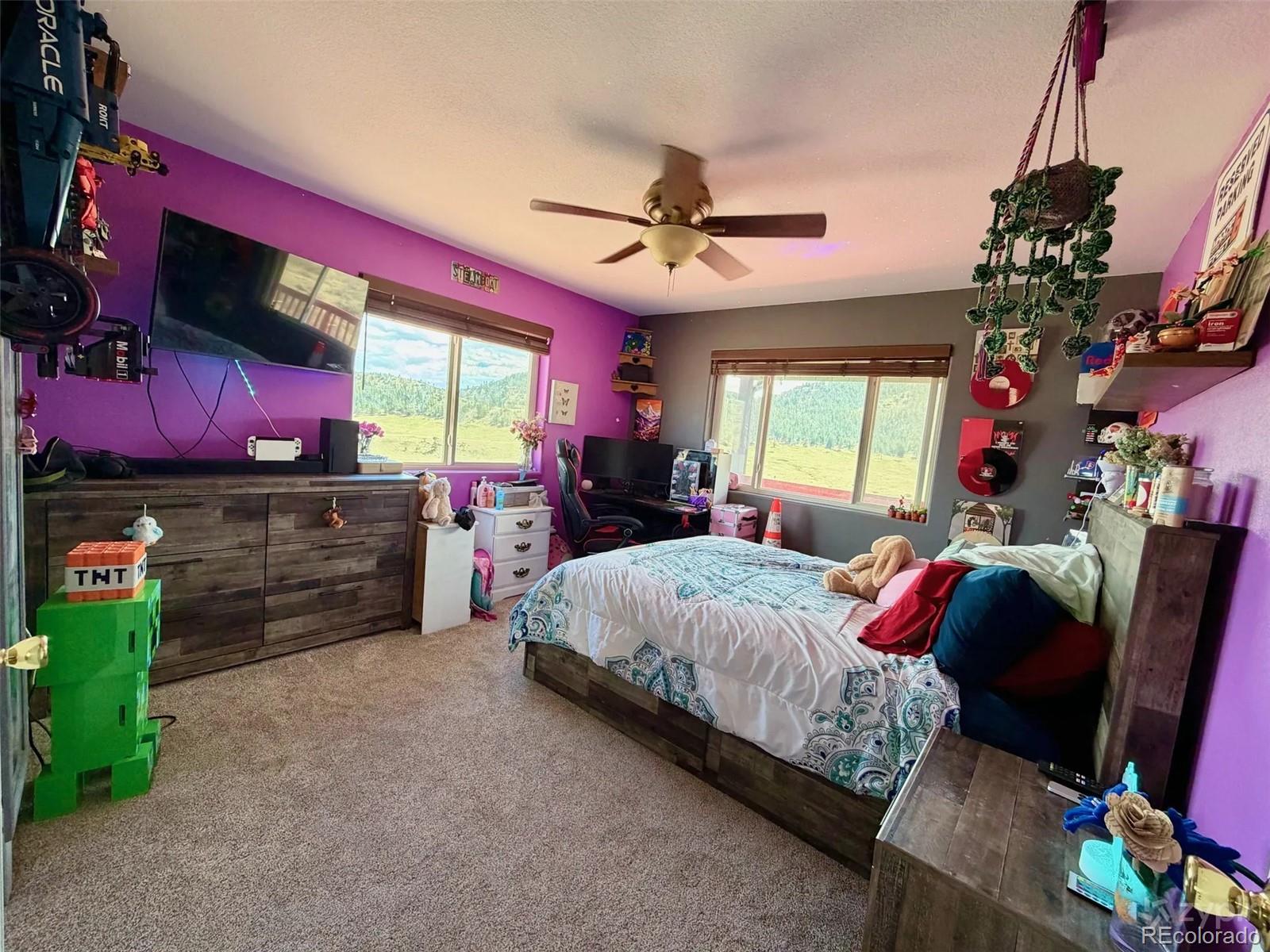 MLS Image #9 for 3050 w county road 82e ,livermore, Colorado