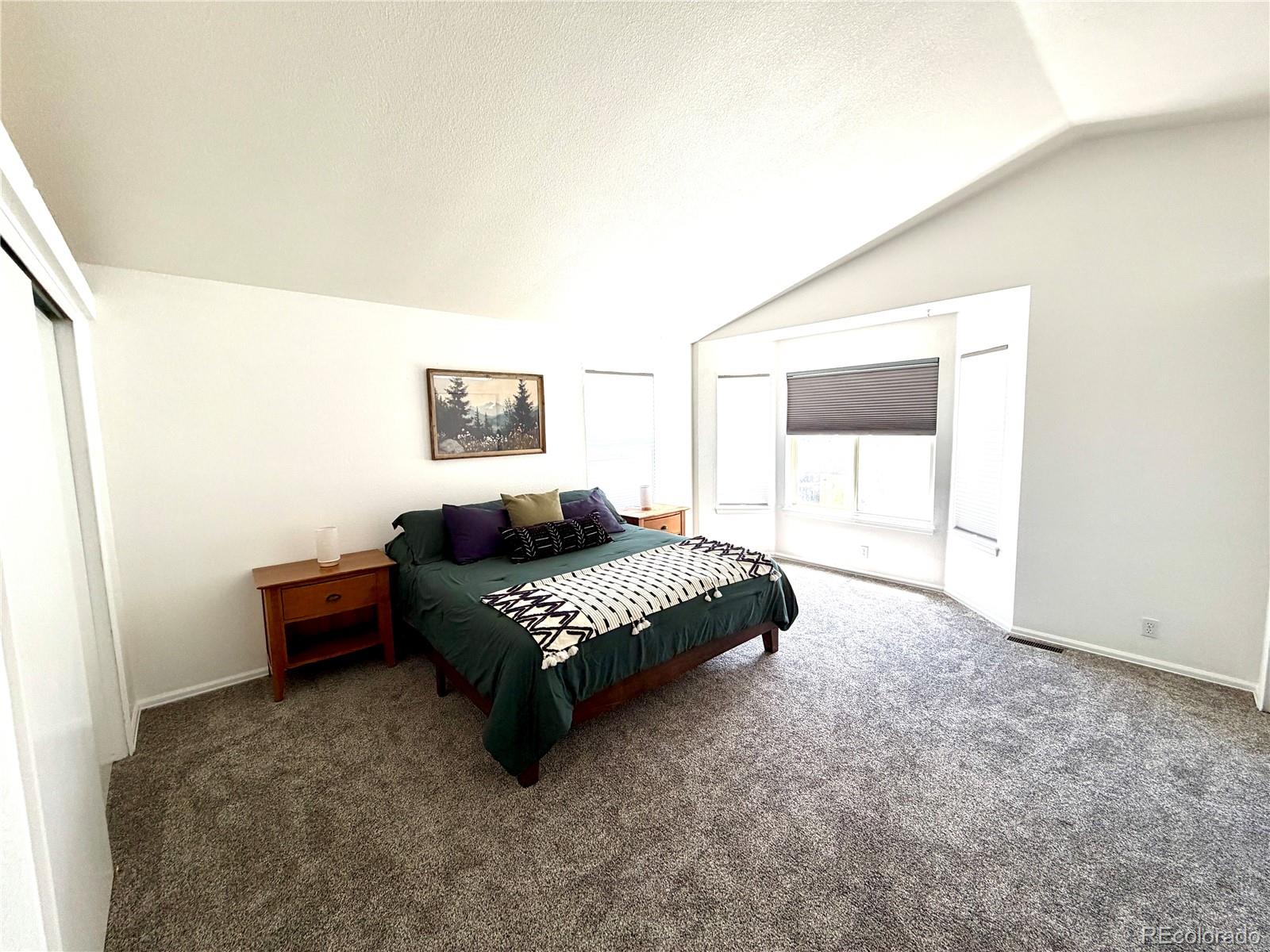 MLS Image #15 for 1529  chutney court,colorado springs, Colorado