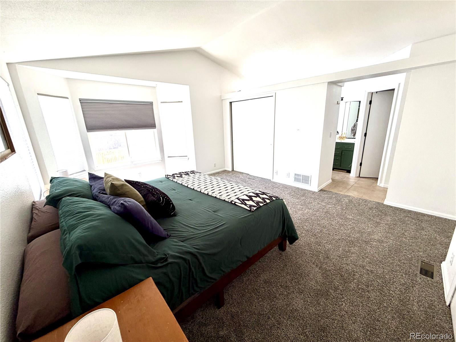 MLS Image #17 for 1529  chutney court,colorado springs, Colorado