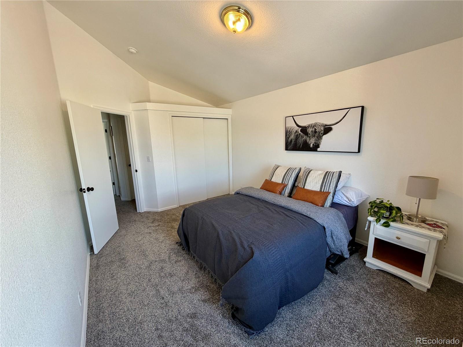 MLS Image #22 for 1529  chutney court,colorado springs, Colorado