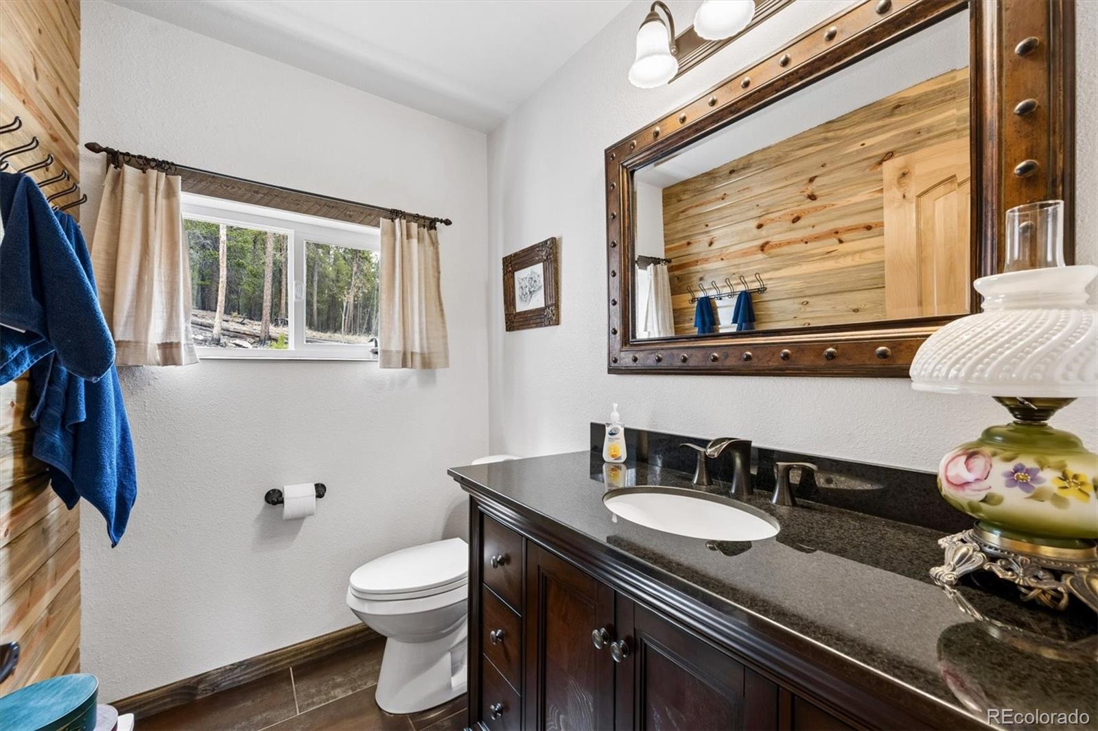 MLS Image #17 for 257  sunny skies trail,idaho springs, Colorado