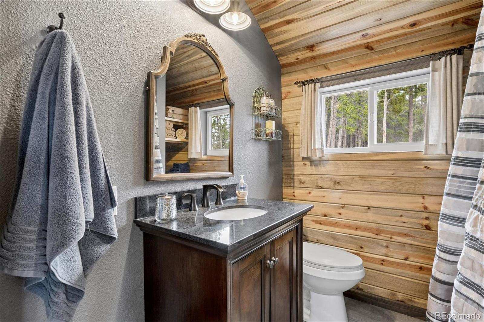 MLS Image #26 for 257  sunny skies trail,idaho springs, Colorado