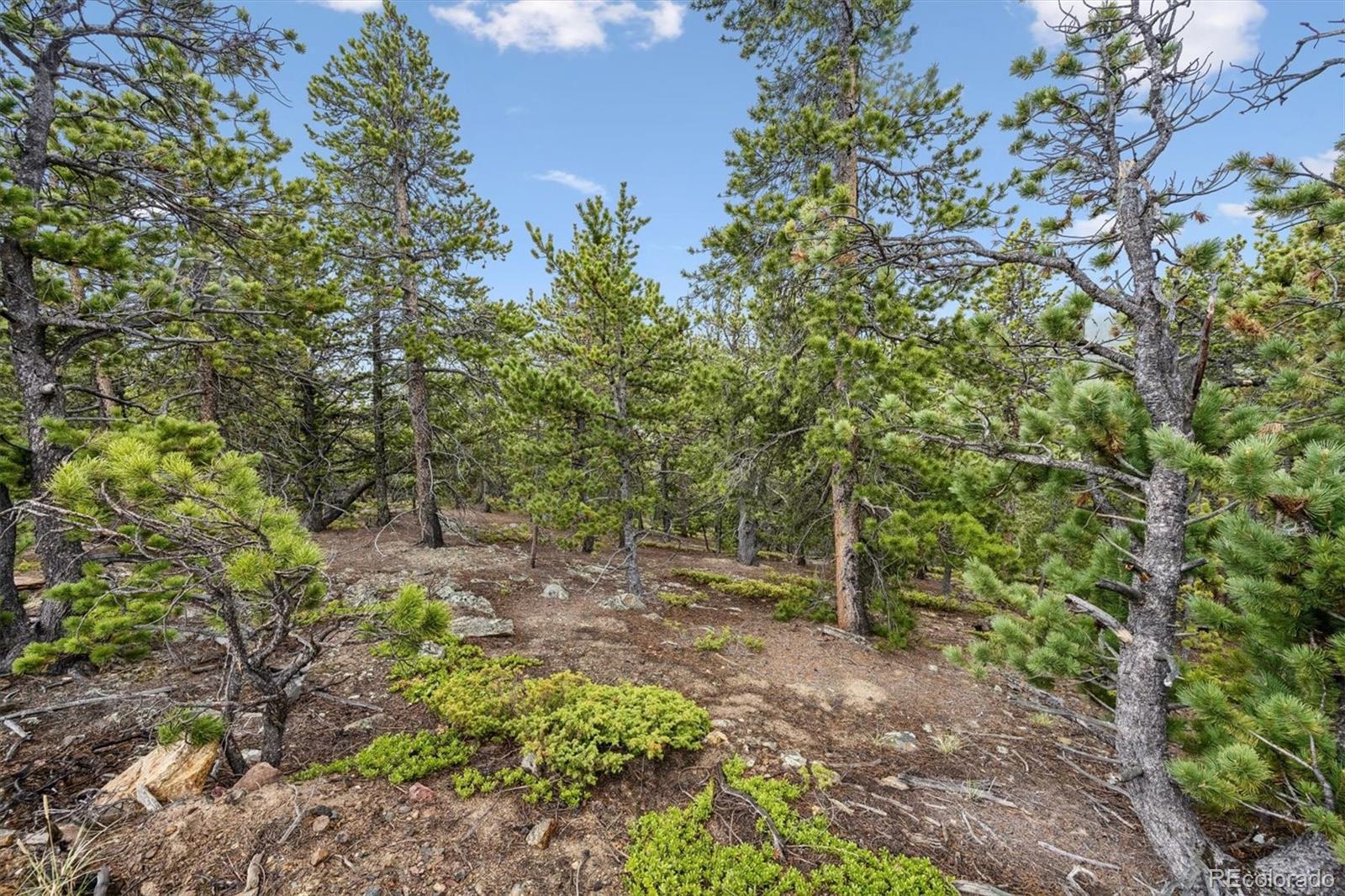 MLS Image #38 for 257  sunny skies trail,idaho springs, Colorado