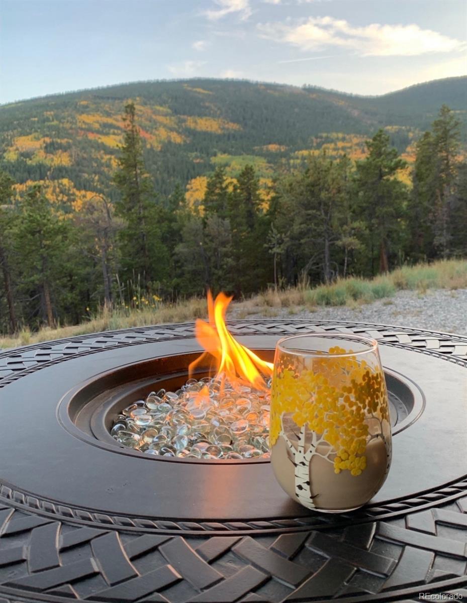 MLS Image #42 for 257  sunny skies trail,idaho springs, Colorado
